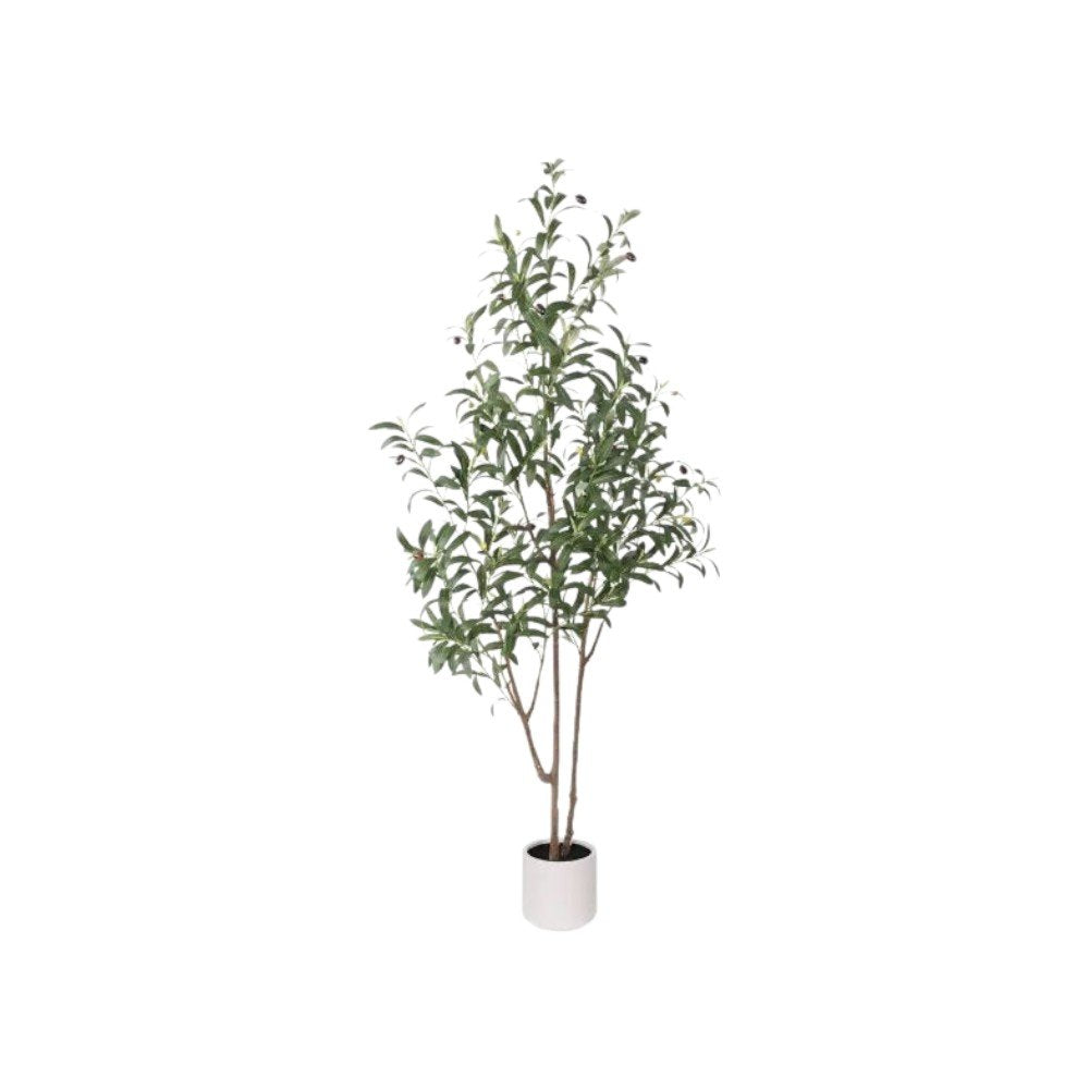 63" Green Artificial Olive Tree In Cylindrical White Cement Pot
