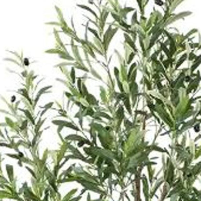 71" Green Artificial Olive Tree In Cylindrical White Cement Pot