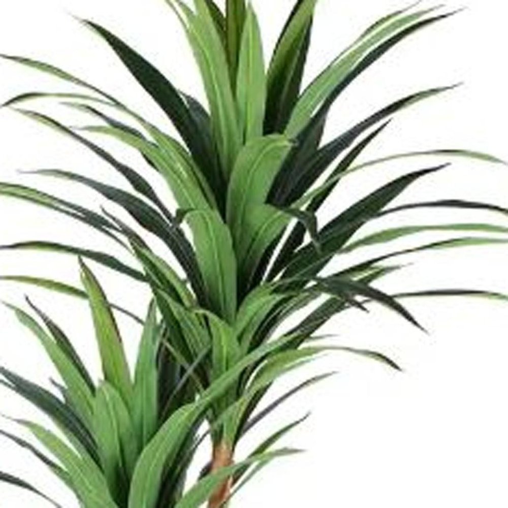 7" Green Artificial Yucca In Cylindrical Black Cement Pot