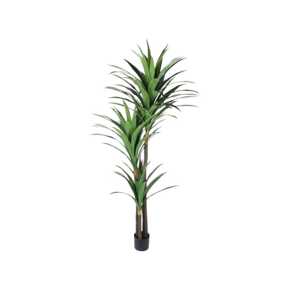 7" Green Artificial Yucca In Cylindrical Black Cement Pot