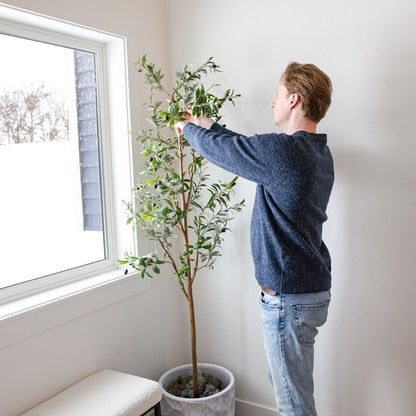 Set of Two 72" Green Artificial Olive Trees in a Black Pots