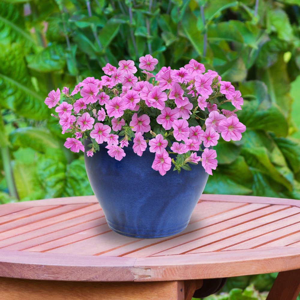 15" X 19" Dark Blue Ceramic Round Pot Planter
