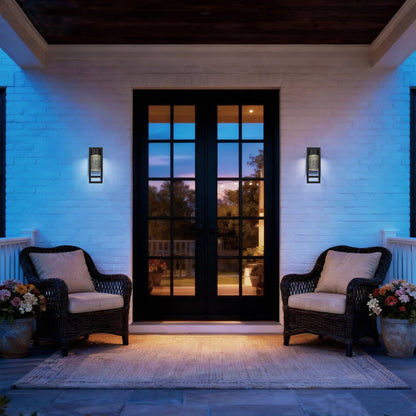 Black Seeded LED Dimmable Outdoor Hanging Light