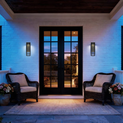 Black Seeded LED Dimmable Outdoor Hanging Light