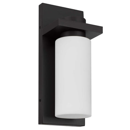 Bronze Colorful LED Dimmable Outdoor Hanging Light