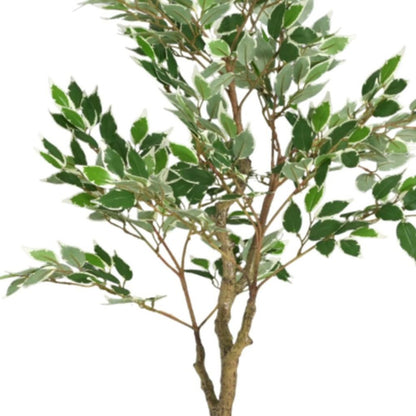 51" Green Artificial Ficus Tree In Cylindrical Black Pot