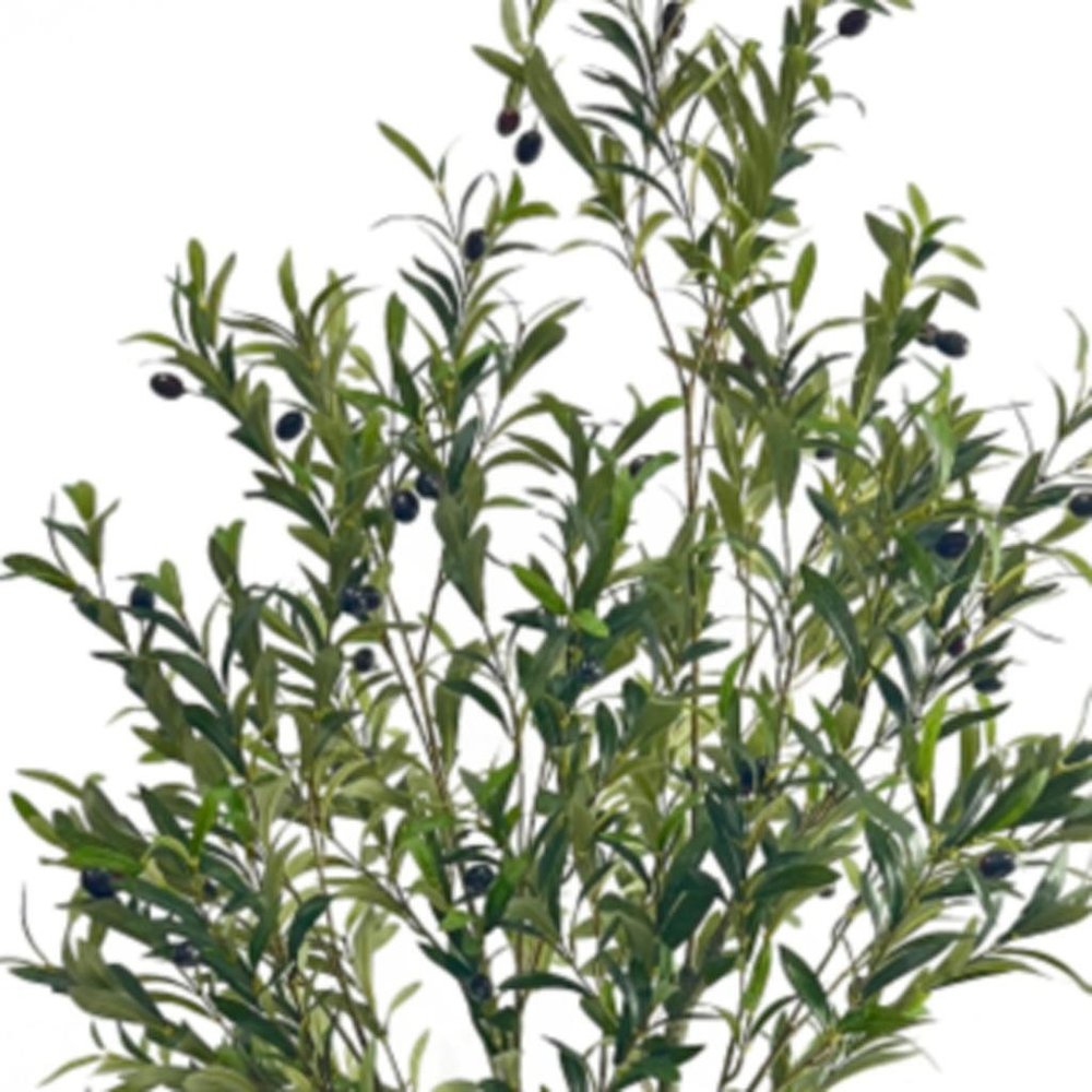 71" Green Artificial Olive Tree In Cylindrical Black Pot
