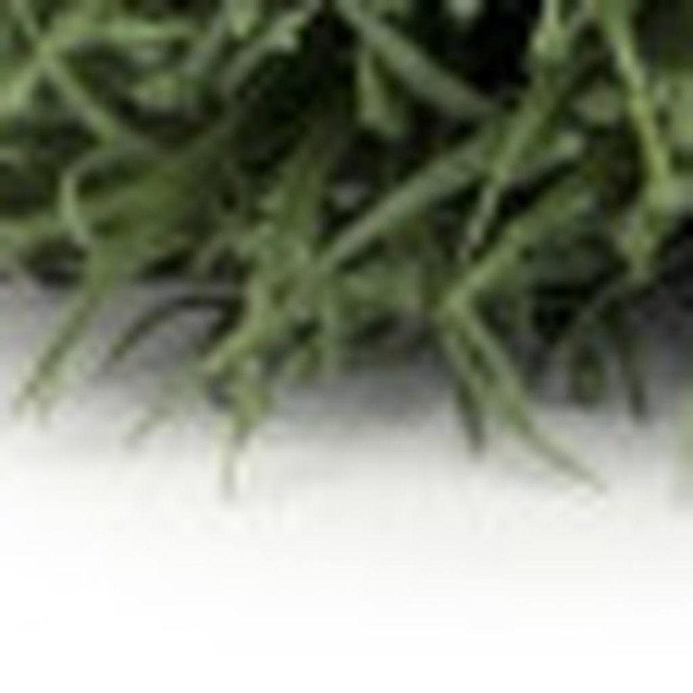 24 5" Green Artificial
