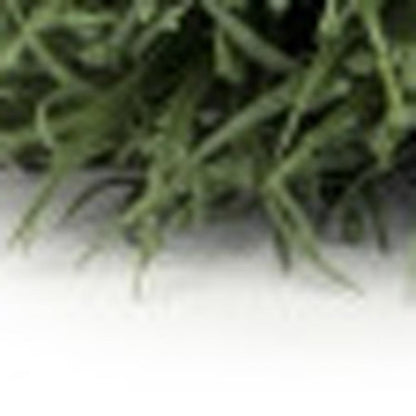 24 5" Green Artificial