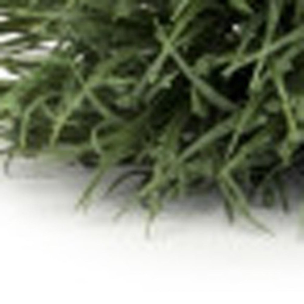 24 5" Green Artificial