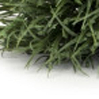24 5" Green Artificial