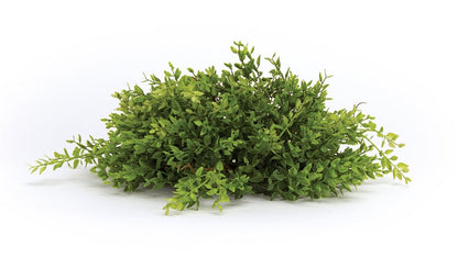 Set of Six 6" Green Artificial
