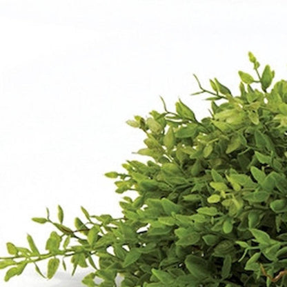 Set of Six 6" Green Artificial