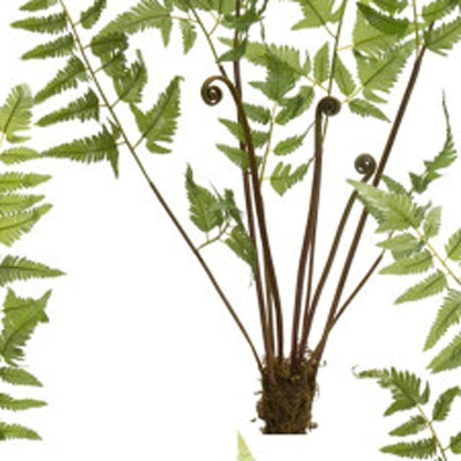 Set of Six 37" Green Artificial Fern Tree