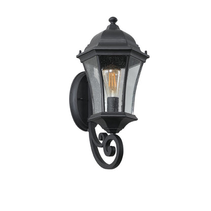 Black Transparent Outdoor Hanging Light With Clear Shades