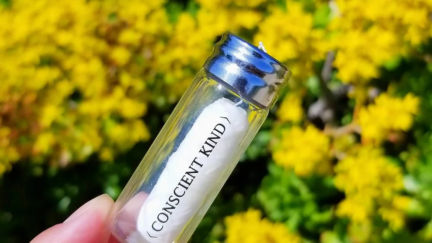 Vegan Waxed Zero-Waste Dental Floss - Mint