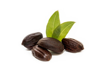 Exfoliating Cleansing Nectar With Jojoba Beads And Apricot Seed Powder 4 Oz. Tube