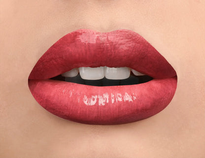 Best Selling! Lustre Vinyl Finish Lip Gloss 4G.