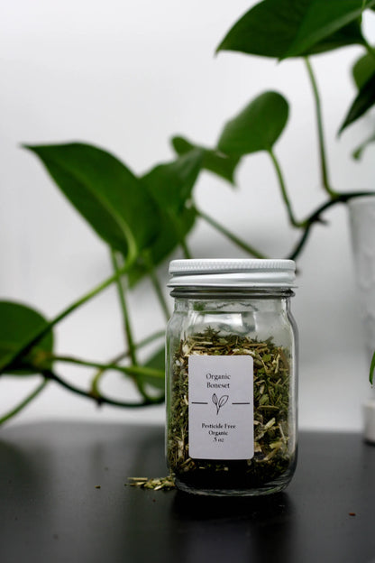 Organic Boneset