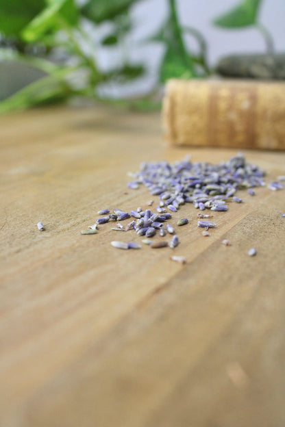 Organic French Lavender
