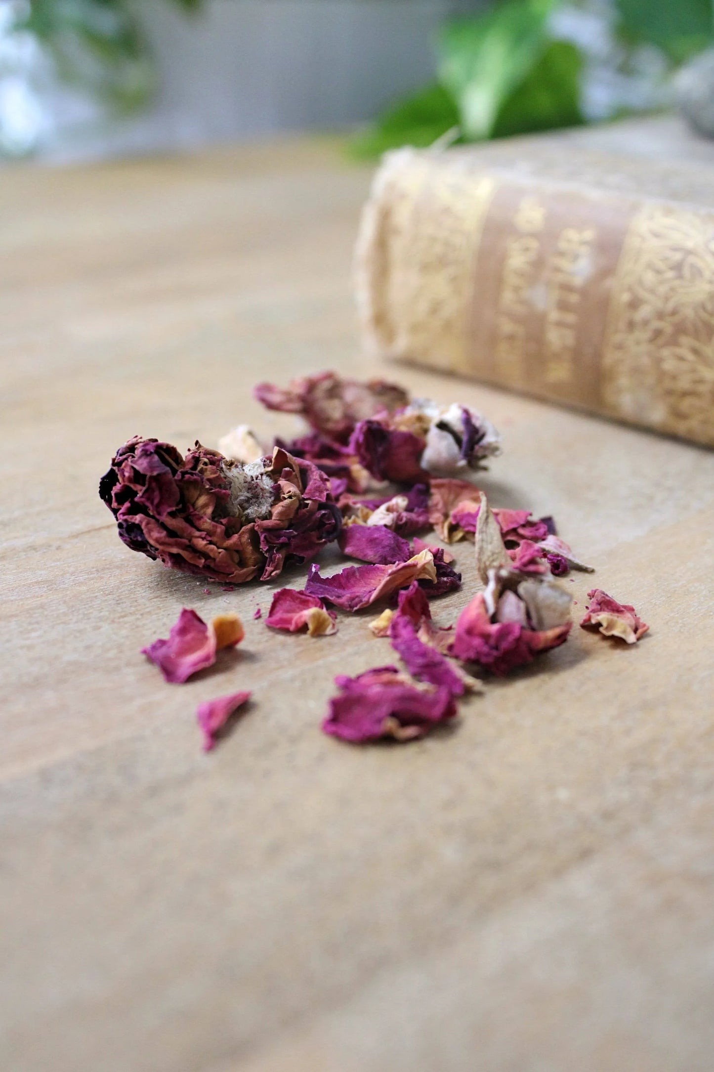 Organic Egyptian Rose Bud + Petal
