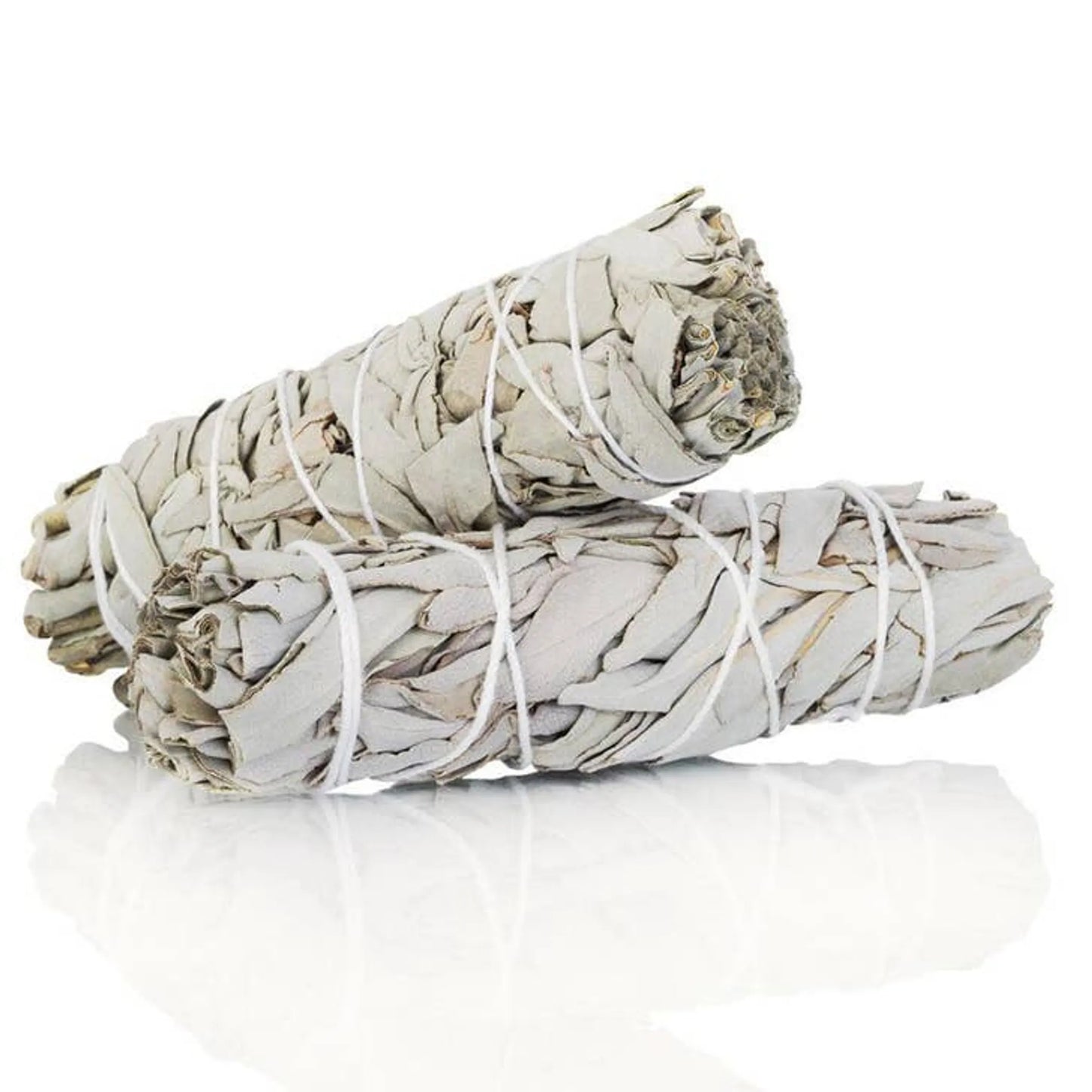 Sustainably Sourced White Sage + Pine Bundle