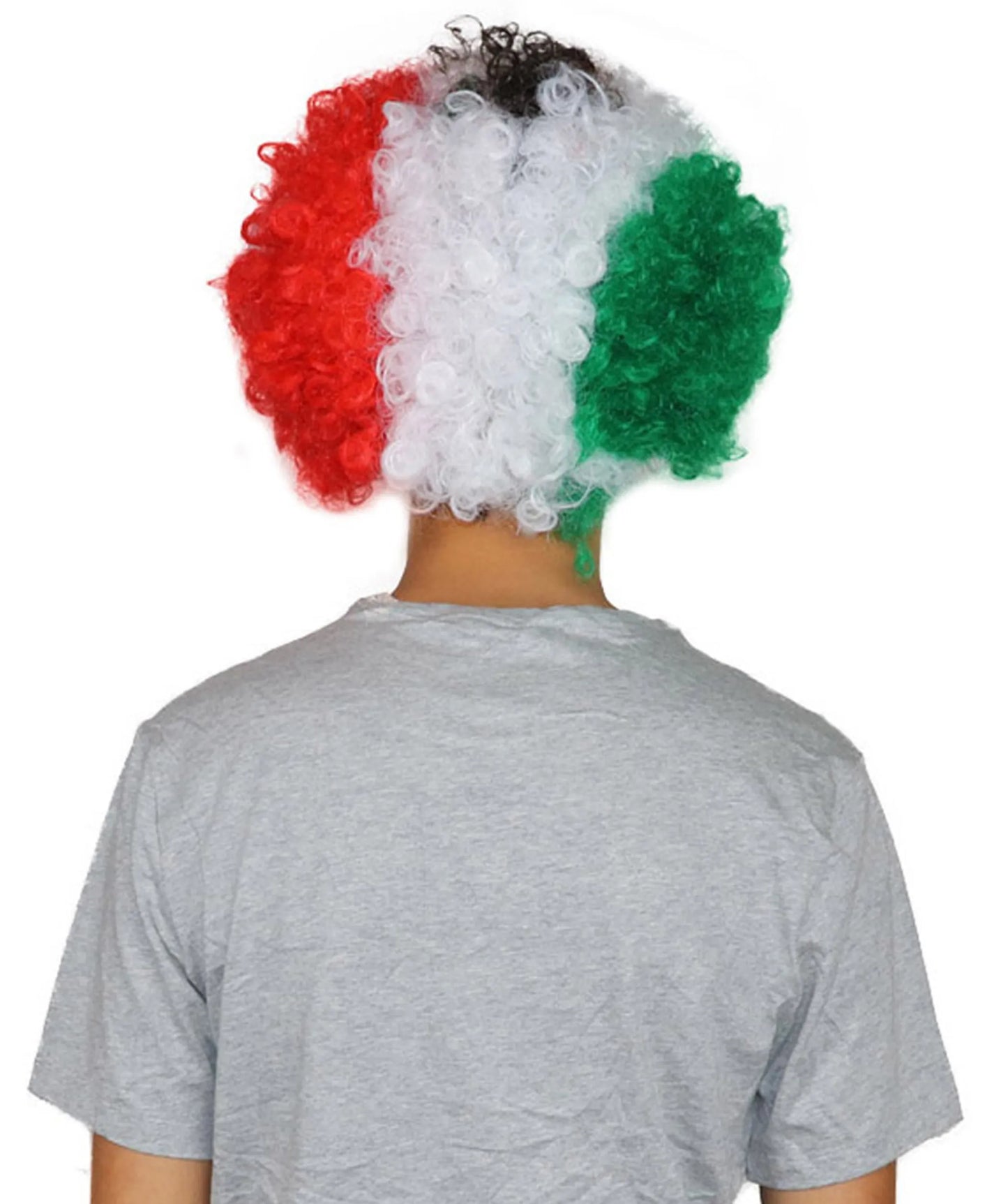 Mexican Flag Afro Wig
