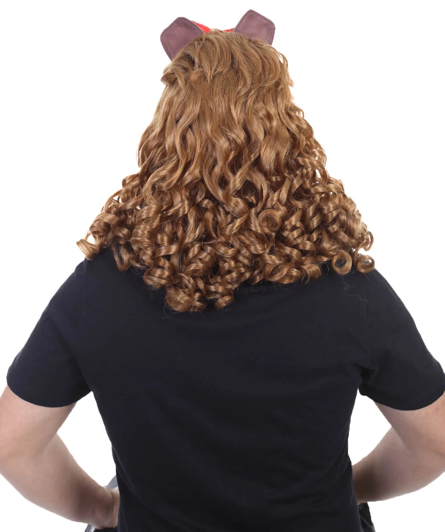 Cowardly Lion Wig & Beard Set