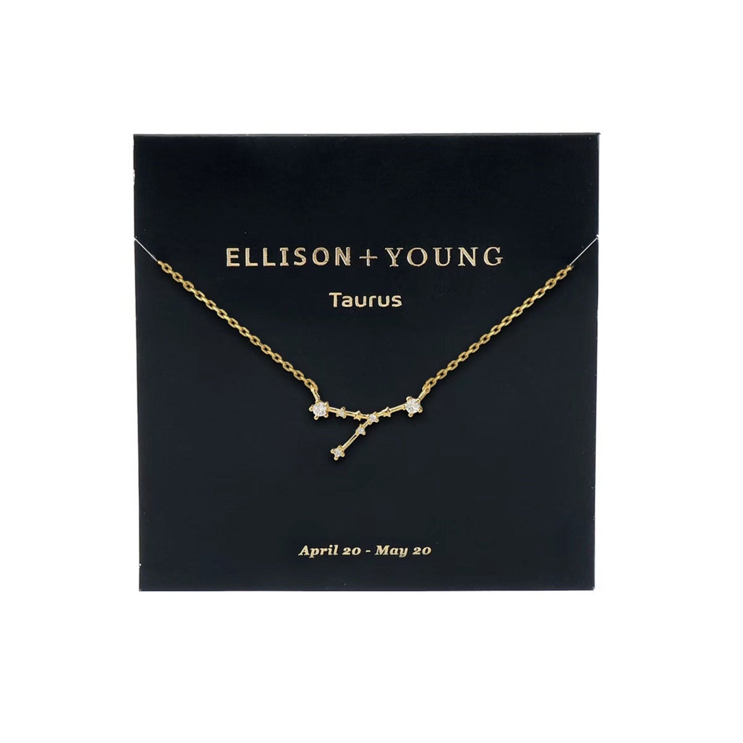 Zodiac Collection Necklace
